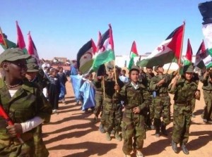 polisario-enfants-soldats